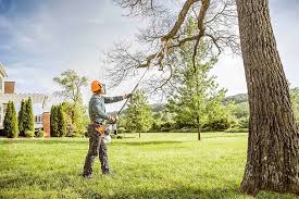 Best Hedge Trimming  in Pho, IL
