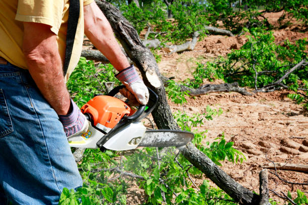 Best Utility Line Clearance  in Pho, IL